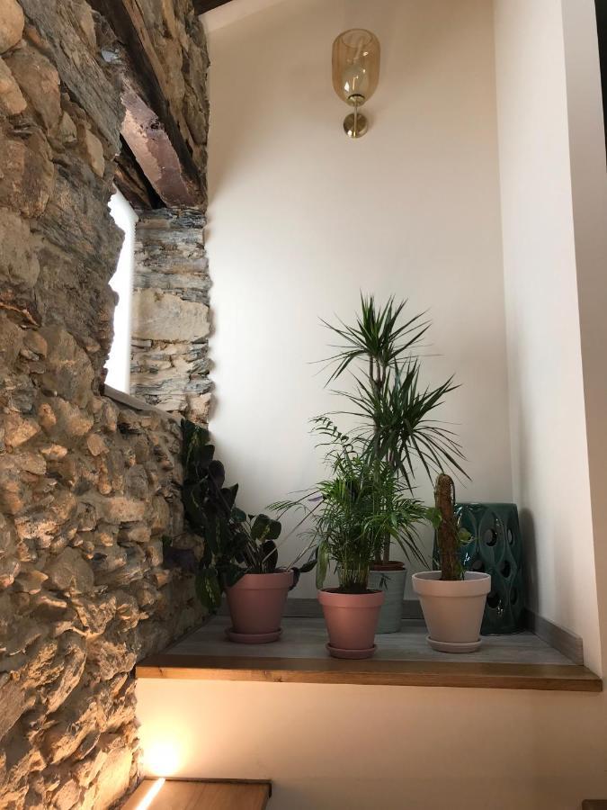Studio Rural Vilarinho  Extérieur photo